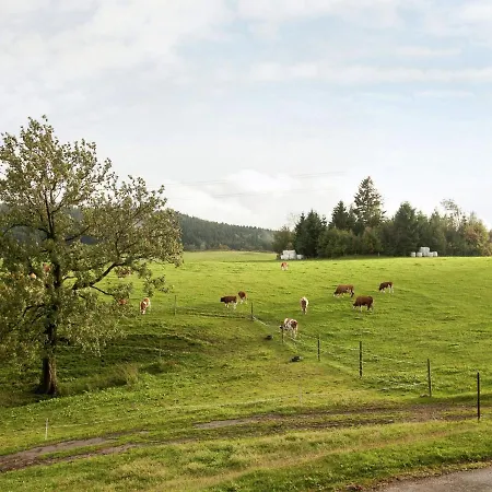 Modern Holiday In Lauterbach Ot Fohrenb Hl With Heating Facility 펜션