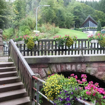 Modern Holiday In Lauterbach Ot Fohrenb Hl With Heating Facility 펜션 *